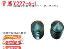 點(diǎn)擊查看詳細(xì)信息<br>標(biāo)題：英格索蘭隔膜泵配件管塞Y227-6-L 閱讀次數(shù)：193