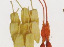點(diǎn)擊查看詳細(xì)信息<br>標(biāo)題：取氣樣球膽 閱讀次數(shù)：57